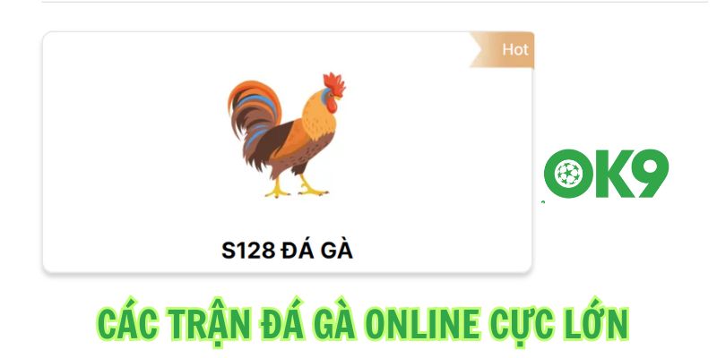 Các trận đá gà online cực lớn 