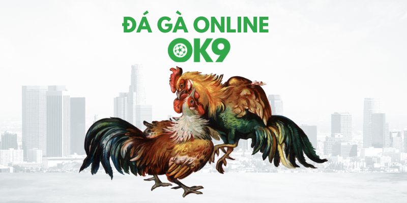 Đá gà online tại OK9