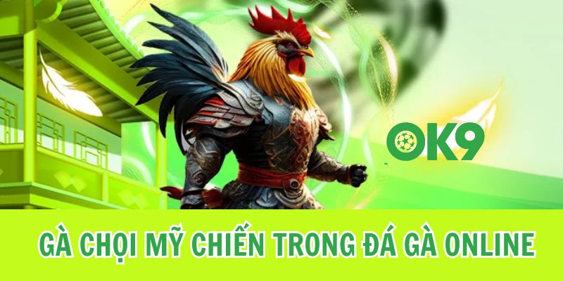 Gà chọi Mỹ chiến trong đá gà online